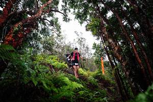 BIB: 
                            <button type="button" onclick="openModal(26202517)" class="btn btn-primary btn-sm float-right btn-popup" data-toggle="modal" data-target=".modal-high-quality">
                        <i class="fas fa-shopping-cart"></i> Add to Cart
                    </button>
                                            <button type="button" onclick="isThisMe(26202517, true)" class="btn btn-success btn-sm float-right btn-popup btn-isme hidden" data-toggle="tooltip" data-placement="bottom" title="นี่คือรูปของคุณใช่ไหม คลิกที่นี่เพื่อเอาเข้าอัลบั้ม">
                        <i class="fas fa-plus"></i> Add to album
                    </button>
                    <button type="button" onclick="isThisMe(26202517, false)" class="btn btn-warning btn-sm float-right btn-popup btn-isnotme hidden">
                        <i class="fas fa-ban"></i> Remove from album
                    </button>